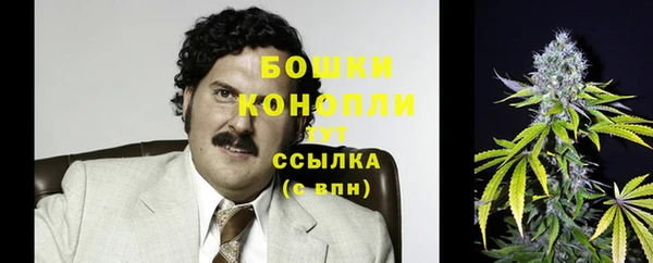 мяу мяу мука Магас