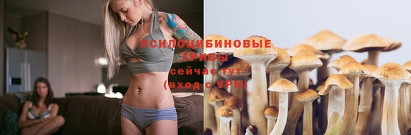 спайс Майский