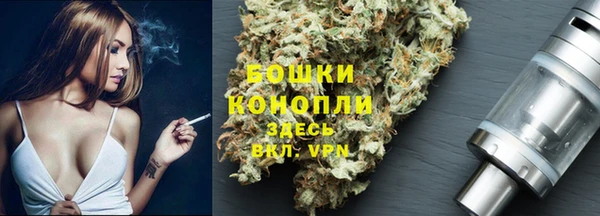 молекула духа Мегион