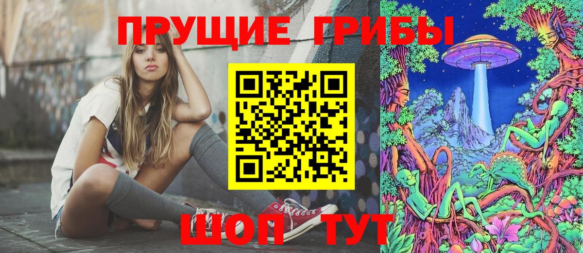 Галлюциногенные грибы мицелий  Псилоцибиновые грибы мицелий  где можно купить наркотик  Красный Сулин  Вход с VPN 
