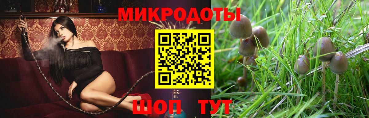 Псилоцибиновые грибы мухоморы Красный Сулин